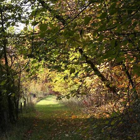 Auszeit * Waldsolms