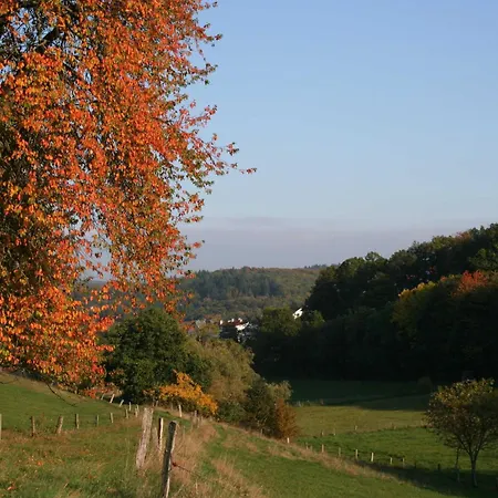 Auszeit Waldsolms